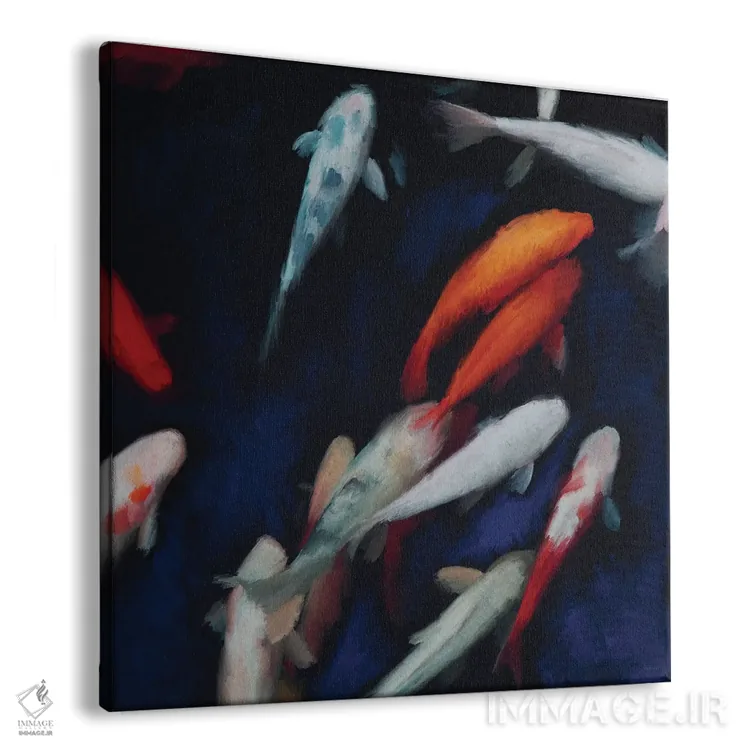 تابلو کوی (ماهی رنگارنگ تزئینی) اثر دن منیلی - نمای پرسپکتیو محصول