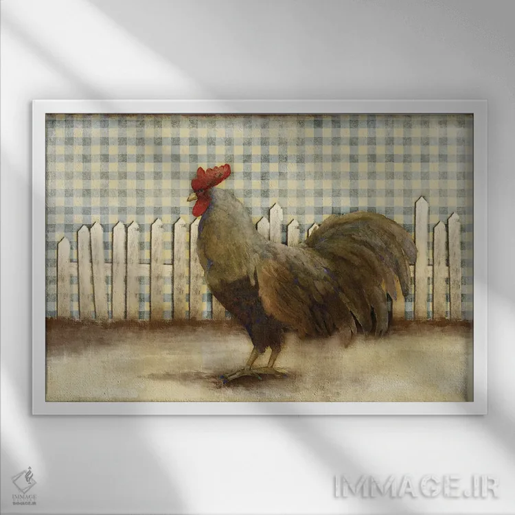 تابلو خروس اثر دن منیلی - نمای قابدار سفید