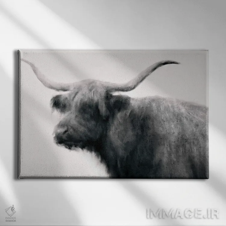 تابلو گاو قدیمی (سبک قدیمی) اثر دن منیلی - نمای روبهرو روی دیوار