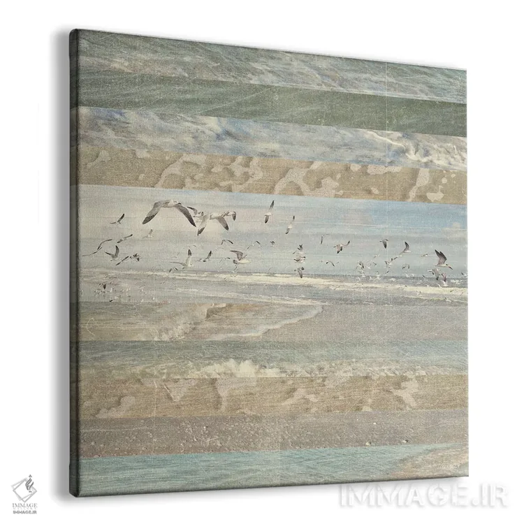 تابلو پرندگان ساحلی در حال پرواز I اثر دن منیلی - نمای پرسپکتیو محصول