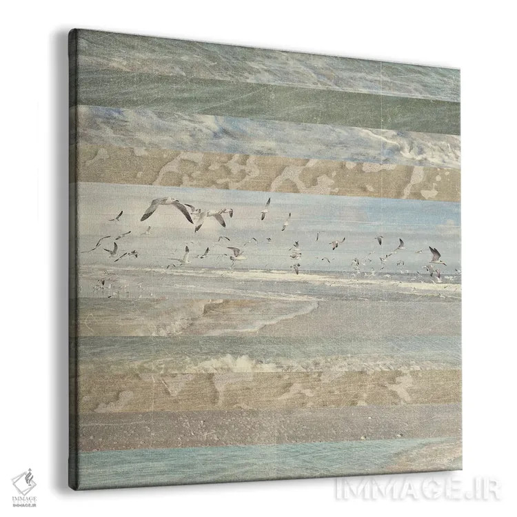 تابلو پرندگان ساحلی در حال پرواز I اثر دن منیلی - نمای پرسپکتیو محصول