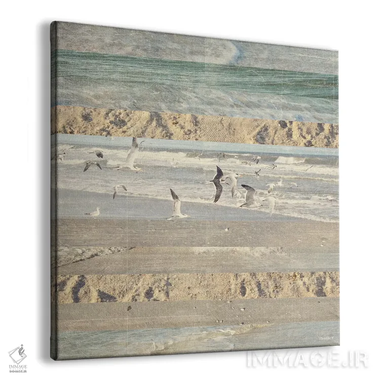 تابلو پرندگان ساحلی در حال پرواز II اثر دن منیلی - نمای پرسپکتیو محصول