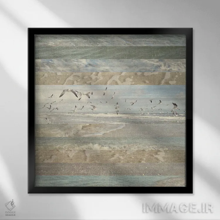 تابلو پرندگان ساحلی در حال پرواز I اثر دن منیلی - نمای قابدار مشکی