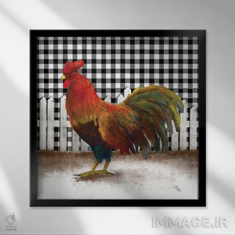 تابلو خروس صبحگاهی II اثر دن منیلی - نمای قابدار مشکی