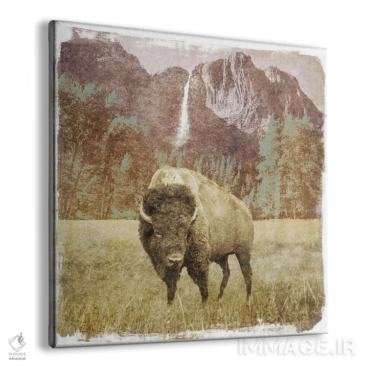 تابلو آبشار گاومیش آمریکایی (بایسون) اثر دن منیلی - نمای پرسپکتیو محصول