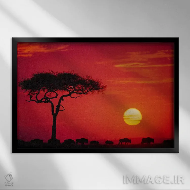 تابلو مهاجرت گاو وحشی آفریقایی، ذخیرهگاه ملی ماسایی مارا، کنیا اثر دی ان پدرسون - نمای قابدار مشکی