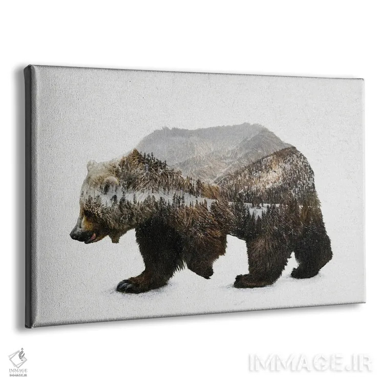 تابلو خرس قهوهای کودیاک اثر دیوایز بیبیز (نام هنری) - نمای پرسپکتیو محصول