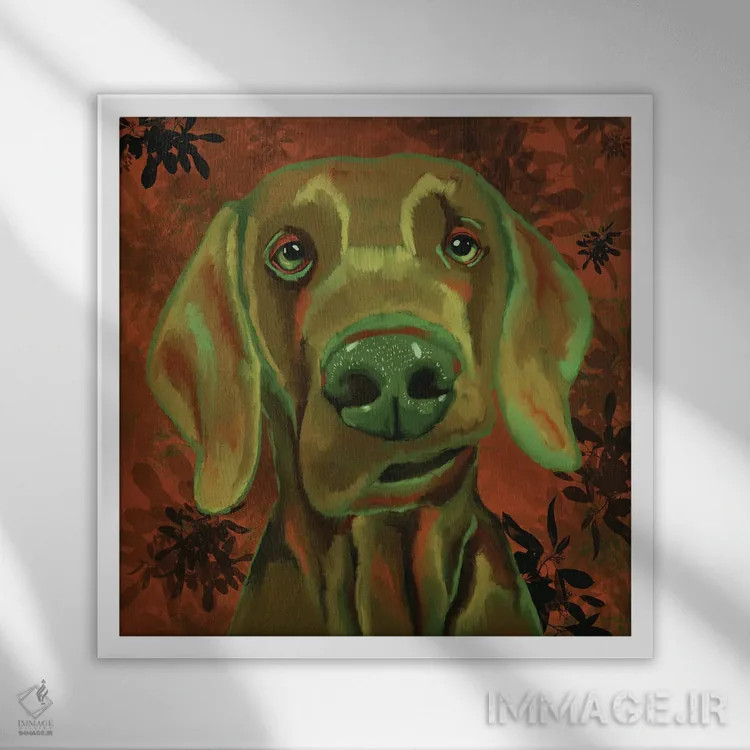 تابلو وایمارانر (نژاد سگ) اثر دائو زد - نمای قابدار سفید