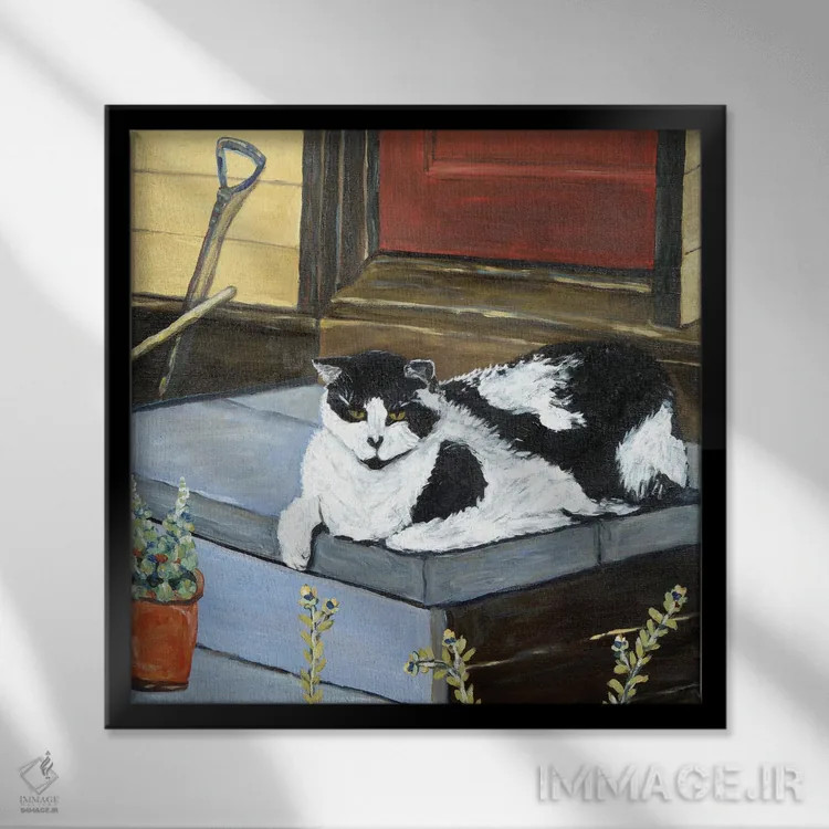 تابلو گربهٔ همسایه اثر دبورا ایو آلاسترا - نمای قابدار مشکی