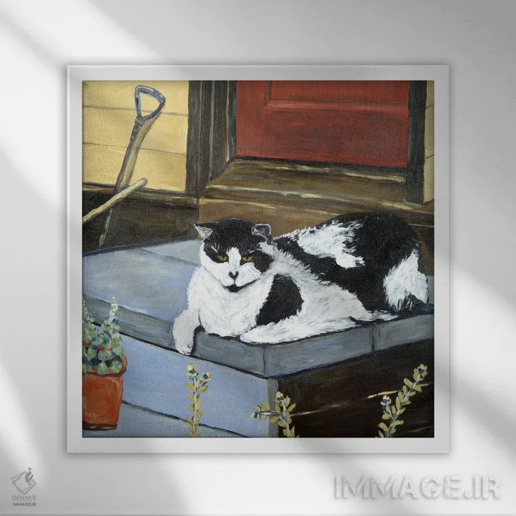 تابلو گربهٔ همسایه اثر دبورا ایو آلاسترا - نمای قابدار سفید