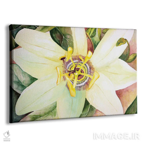 تابلو گل شور (پیشنهاد برچسب: گل عجیبوغریب) اثر دبورا ایو آلاسترا - نمای پرسپکتیو محصول