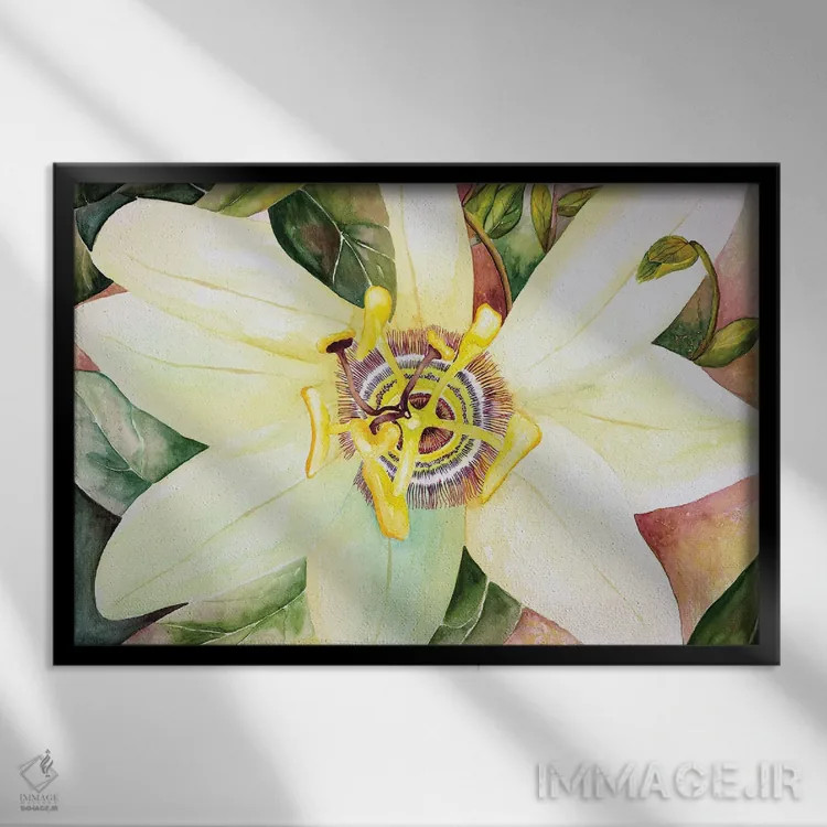 تابلو گل شور (پیشنهاد برچسب: گل عجیبوغریب) اثر دبورا ایو آلاسترا - نمای قابدار مشکی