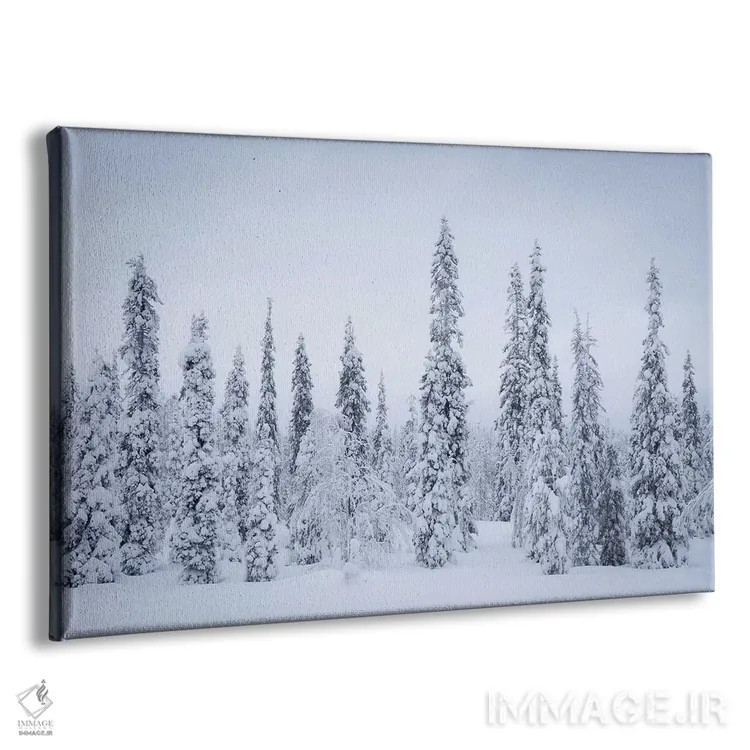 تابلو ریسیتونتوری فنلاند ۱ اثر دیوید کلاپ - نمای پرسپکتیو محصول