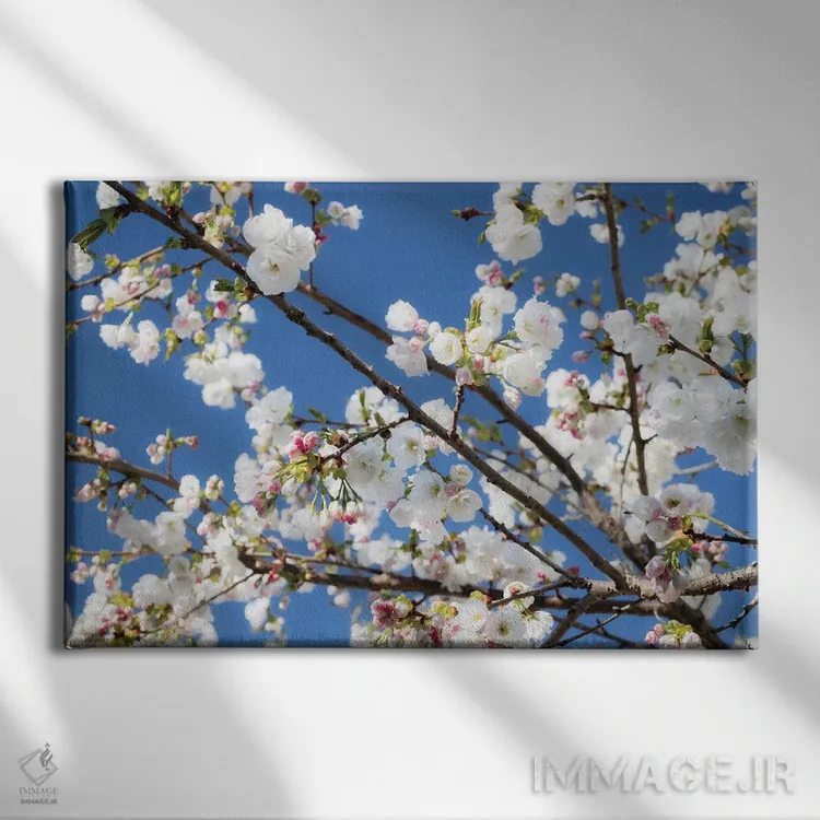 تابلو شکوفههای گیلاس ۹ اثر دیوید کلاپ - نمای روبهرو روی دیوار