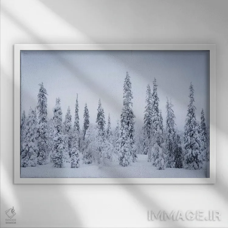 تابلو ریسیتونتوری فنلاند ۱ اثر دیوید کلاپ - نمای قابدار سفید