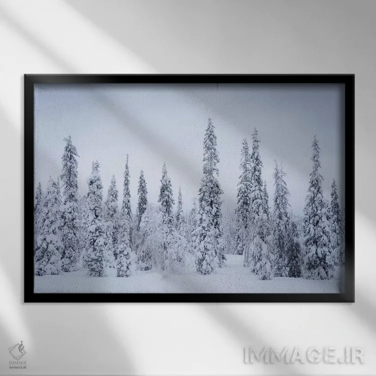 تابلو ریسیتونتوری فنلاند ۱ اثر دیوید کلاپ - نمای قابدار مشکی