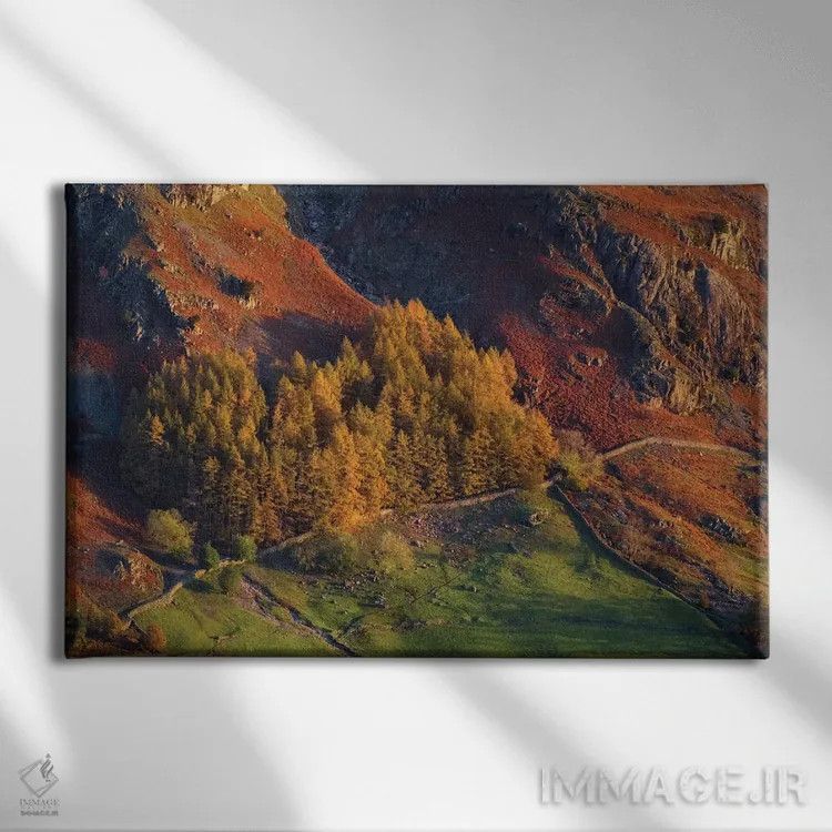 تابلو دریاچههای لانگدیل ۱ اثر دیوید کلاپ - نمای روبهرو روی دیوار