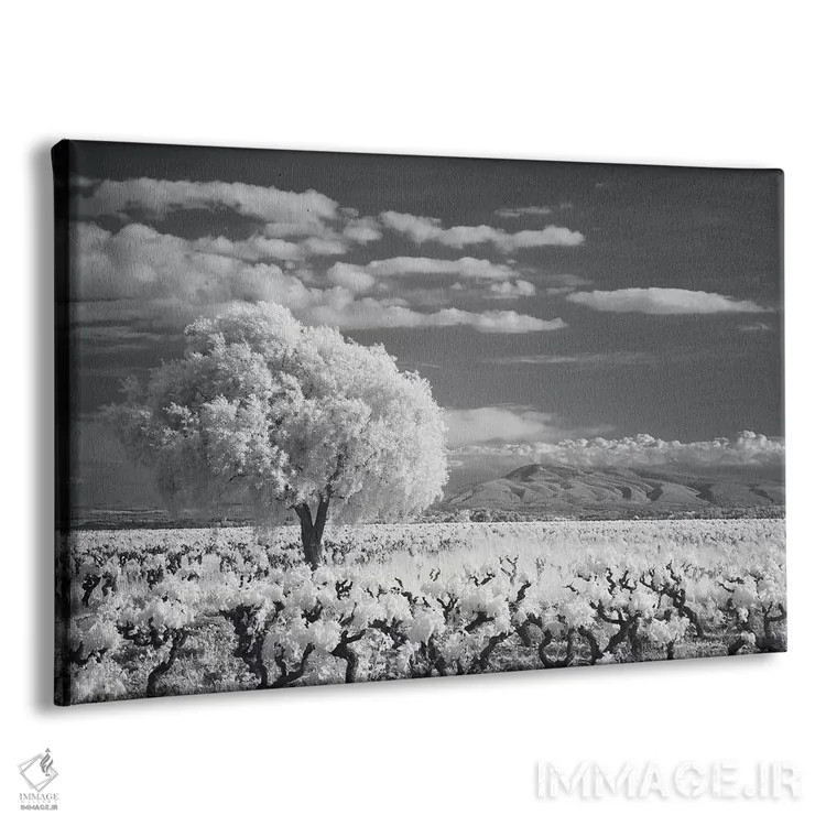 تابلو کام مینروآ لانگدوک ۱ اثر دیوید کلاپ - نمای پرسپکتیو محصول