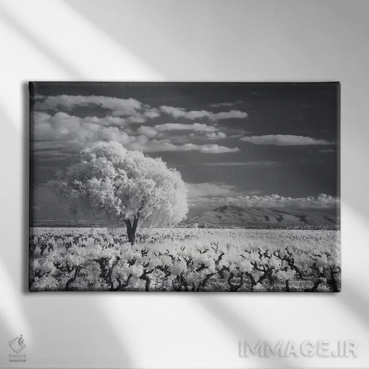 تابلو کام مینروآ لانگدوک ۱ اثر دیوید کلاپ - نمای روبهرو روی دیوار