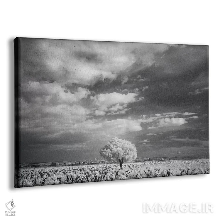 تابلو کام مینروآ لانگدوک ۲ اثر دیوید کلاپ - نمای پرسپکتیو محصول