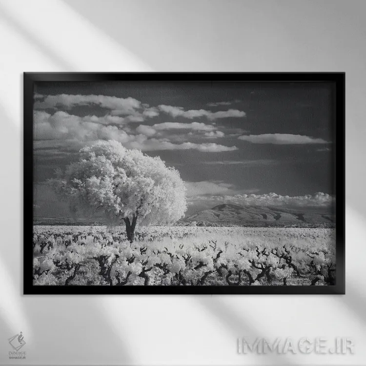 تابلو کام مینروآ لانگدوک ۱ اثر دیوید کلاپ - نمای قابدار مشکی