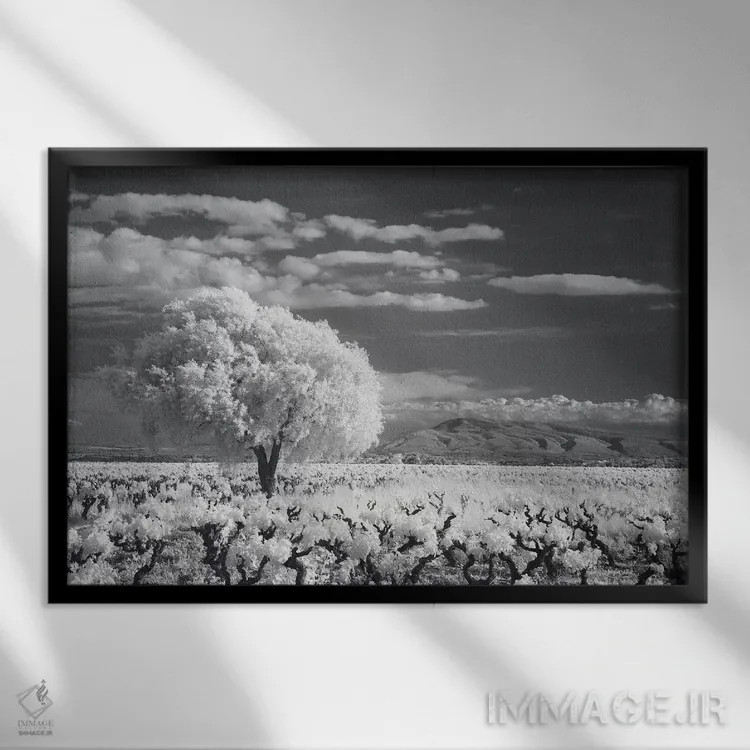 تابلو کام مینروآ لانگدوک ۱ اثر دیوید کلاپ - نمای قابدار مشکی