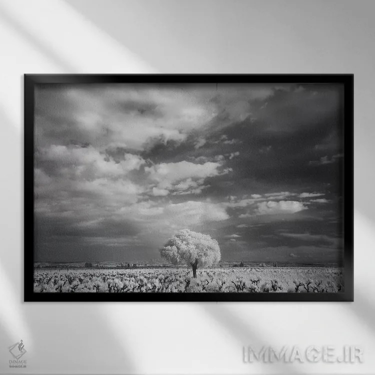 تابلو کام مینروآ لانگدوک ۲ اثر دیوید کلاپ - نمای قابدار مشکی