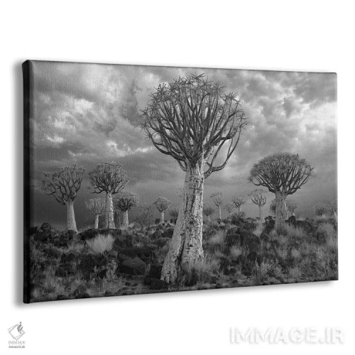 تابلو کیتمنشوپ نامیبیا ۱۷ اثر دیوید کلاپ - نمای پرسپکتیو محصول