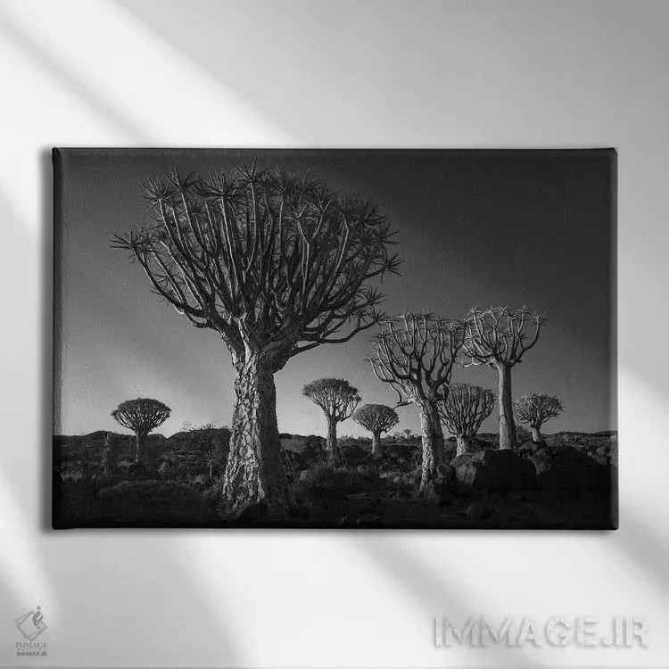 تابلو کیتمنشوپ نامیبیا ۱۲ اثر دیوید کلاپ - نمای روبهرو روی دیوار