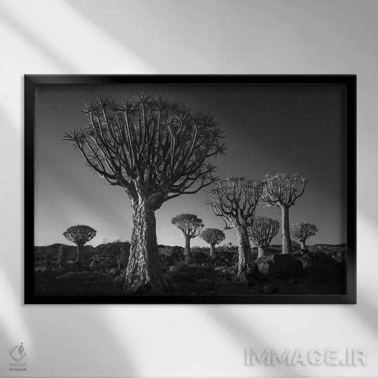 تابلو کیتمنشوپ نامیبیا ۱۲ اثر دیوید کلاپ - نمای قابدار مشکی