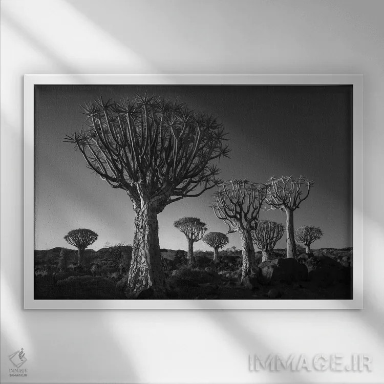 تابلو کیتمنشوپ نامیبیا ۱۲ اثر دیوید کلاپ - نمای قابدار سفید