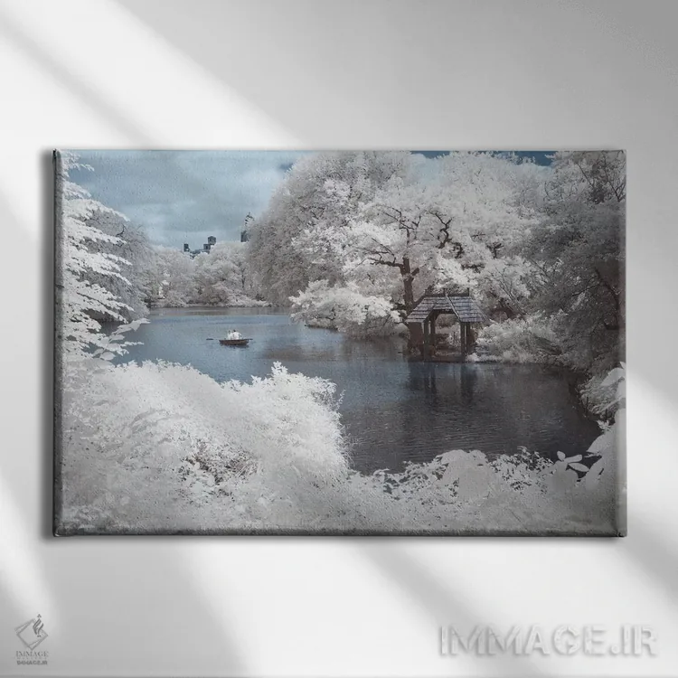 تابلو سنترال پارک نیویورک ۴ اثر دیوید کلاپ - نمای روبهرو روی دیوار