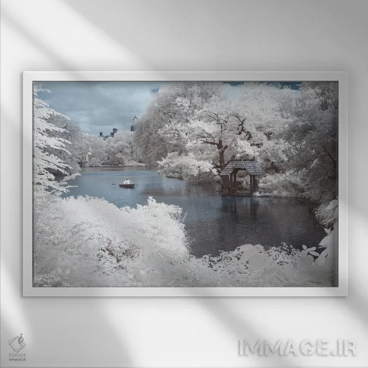 تابلو سنترال پارک نیویورک ۴ اثر دیوید کلاپ - نمای قابدار سفید