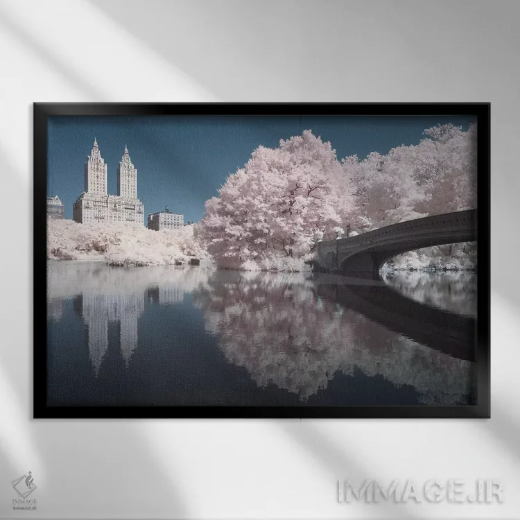 تابلو سنترال پارک نیویورک ۵ اثر دیوید کلاپ - نمای قابدار مشکی