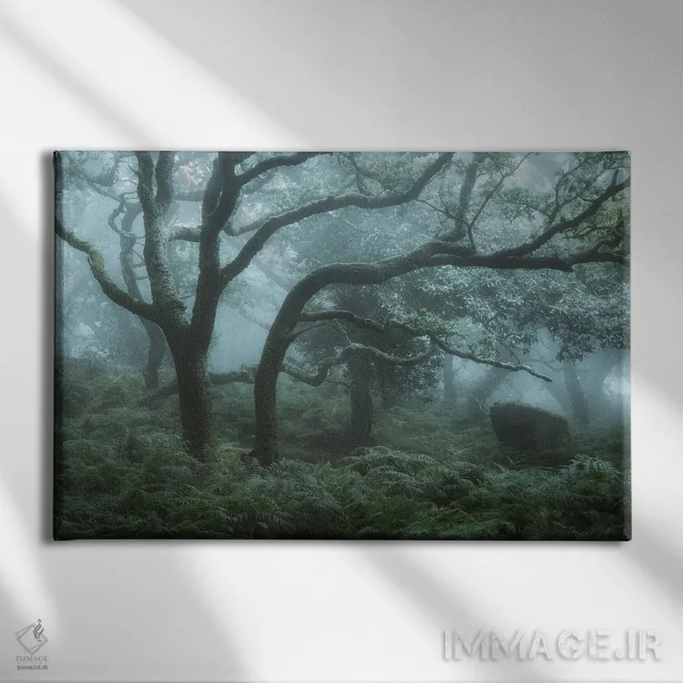 تابلو در عمق جنگل شمارهٔ یک اثر دیوید کلاپ - نمای روبهرو روی دیوار