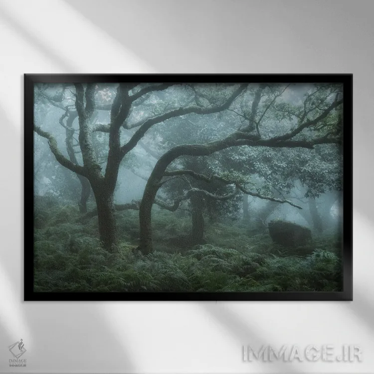 تابلو در عمق جنگل شمارهٔ یک اثر دیوید کلاپ - نمای قابدار مشکی