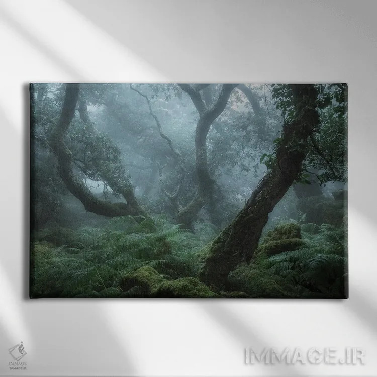 تابلو در عمق جنگل شمارهٔ دو اثر دیوید کلاپ - نمای روبهرو روی دیوار