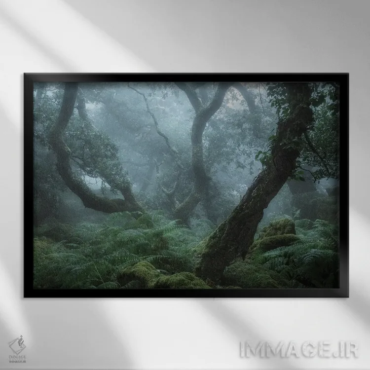 تابلو در عمق جنگل شمارهٔ دو اثر دیوید کلاپ - نمای قابدار مشکی