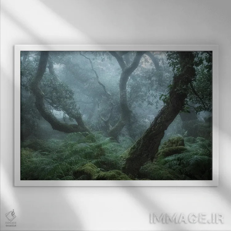 تابلو در عمق جنگل شمارهٔ دو اثر دیوید کلاپ - نمای قابدار سفید