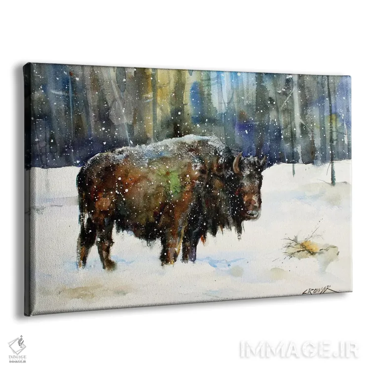 تابلو گاومیش کوهاندار (بایسون) اثر باور کراوزر - نمای پرسپکتیو محصول