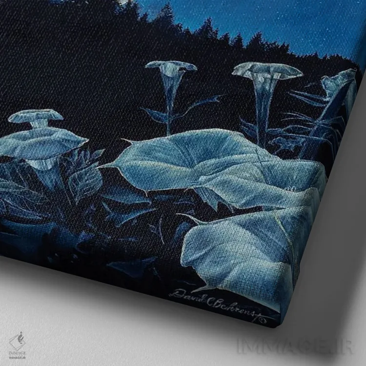 تابلو اوج شبانه اثر دیوید بهرنس - نمای نزدیک بافت بوم