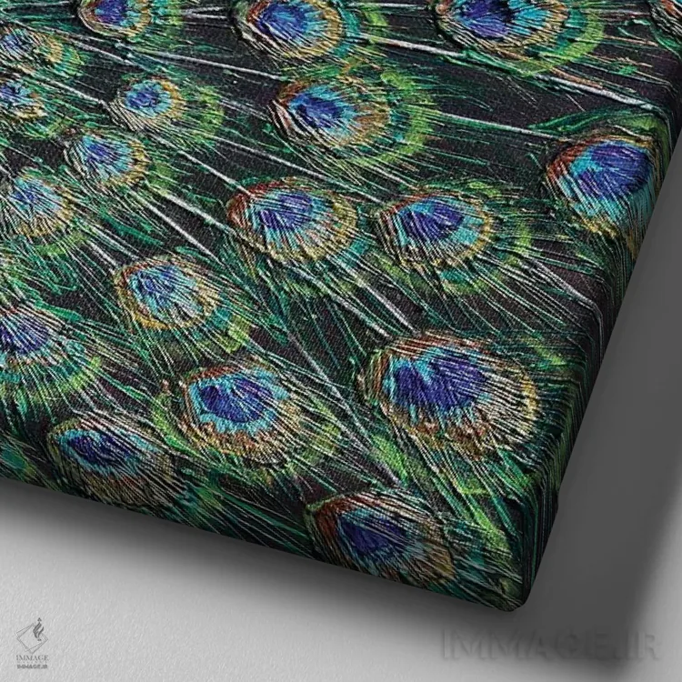 تابلو طاووس اثر آماندا داگ - نمای نزدیک بافت بوم