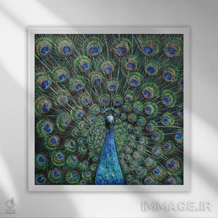 تابلو طاووس اثر آماندا داگ - نمای قابدار سفید