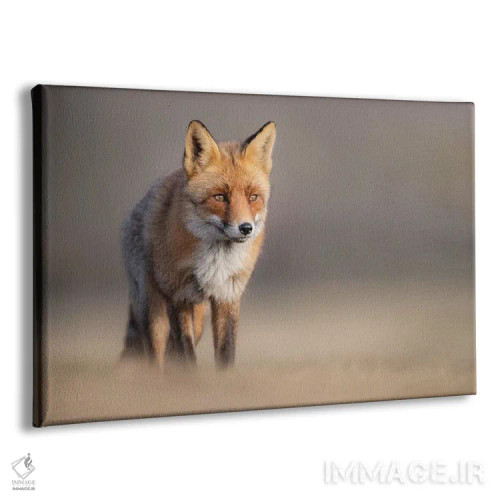 تابلو روباه قرمز در مزرعه II اثر دیک ون دویْن - نمای پرسپکتیو محصول