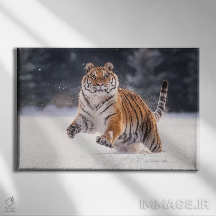 تابلو ببر سیبری در حال دویدن در برف V اثر دیک ون دویْن - نمای روبهرو روی دیوار