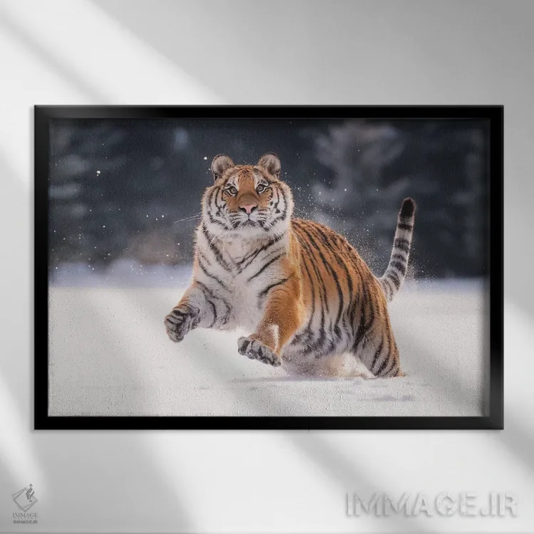 تابلو ببر سیبری در حال دویدن در برف V اثر دیک ون دویْن - نمای قابدار مشکی