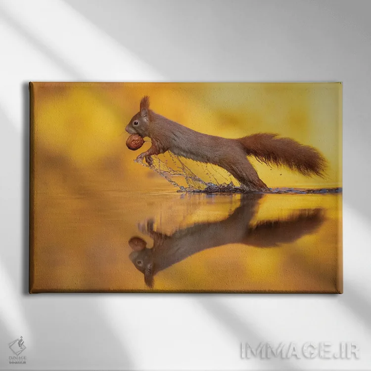 تابلو پرش اثر دیک ون دویْن - نمای روبهرو روی دیوار