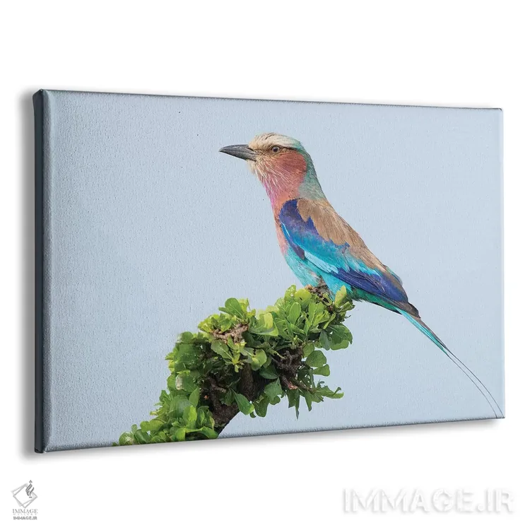 تابلو غلتزن سینهیاسی (پرنده آفریقایی) اثر دیک ون دویْن - نمای پرسپکتیو محصول