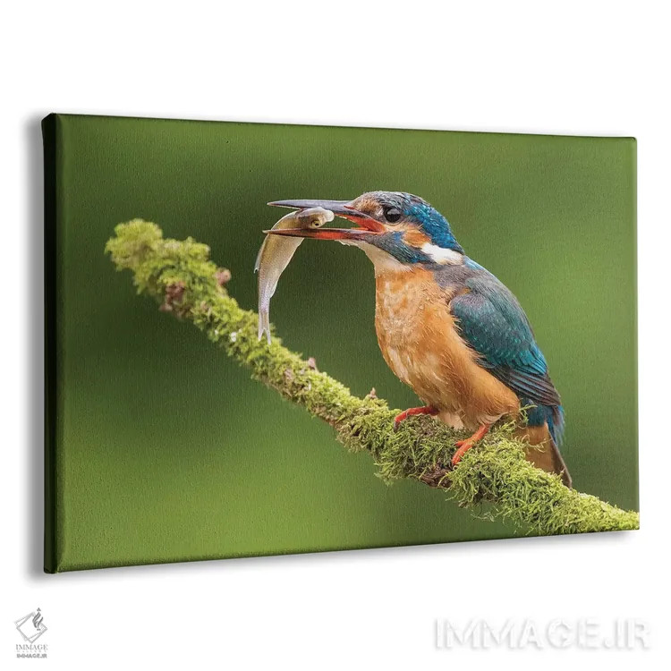 تابلو ماهیخورک با شکارش اثر دیک ون دویْن - نمای پرسپکتیو محصول