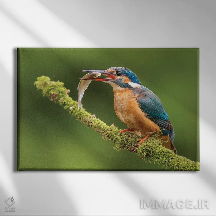 تابلو ماهیخورک با شکارش اثر دیک ون دویْن - نمای روبهرو روی دیوار